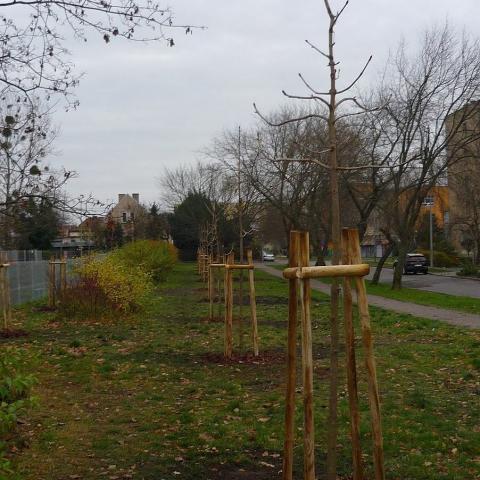 Source: https://bydgoszcz.wyborcza.pl/bydgoszcz/51,48722,22697139.html?i=1