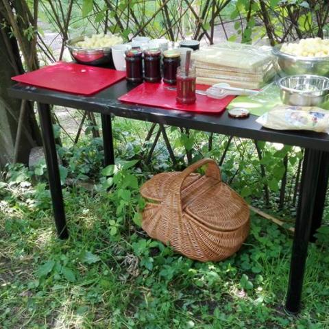 Social Garden in Kraków