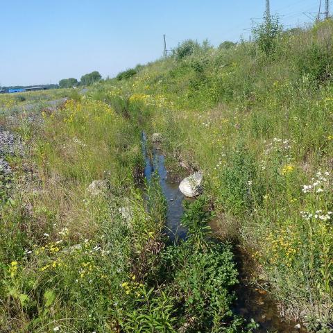 The Krutscheider stream surfaces again