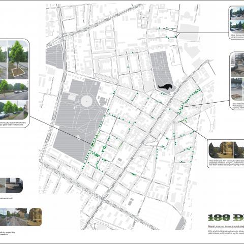 100 trees for Poznań