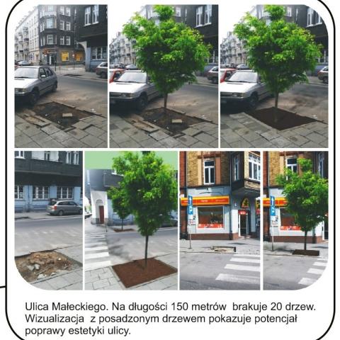 100 trees in Poznan