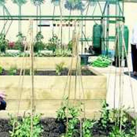 Walkway community garden
