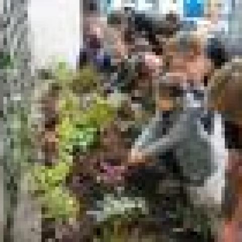 A group of students planting plants