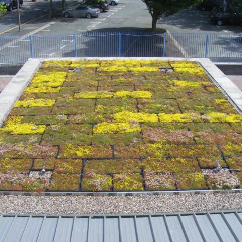 Irene K Centre Wirral Ark (Ref. 1) 