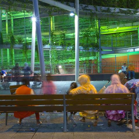 Vertical Garden las Delicias 5