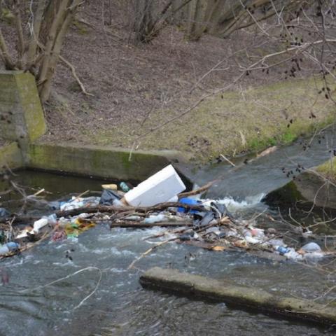 Trash in the river