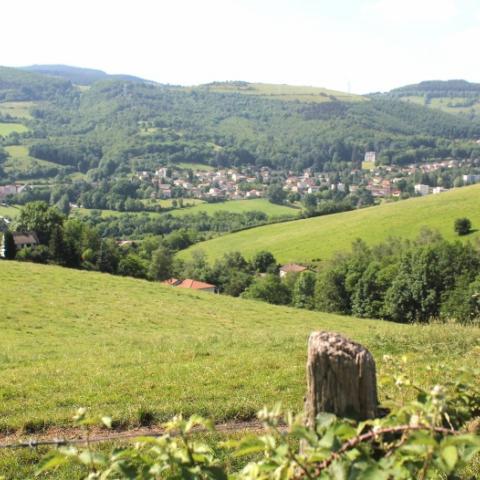 A field with rolling green hills