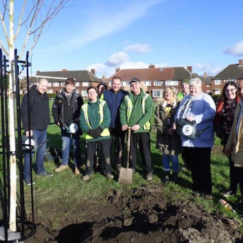 The Cardinal Pocket Park (1)