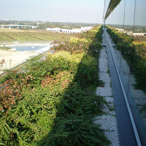 Ospedale dell'Angelo