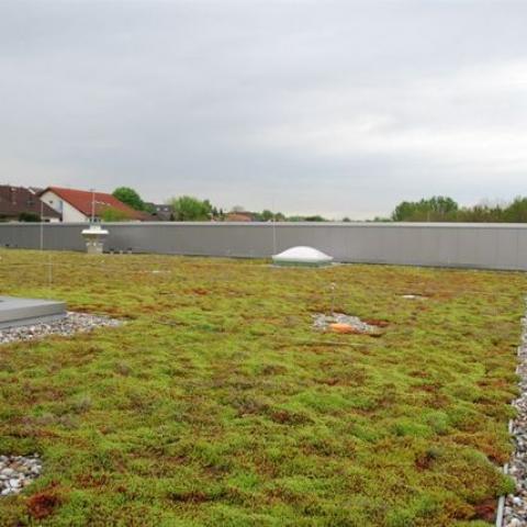 Ospedale dell'Angelo