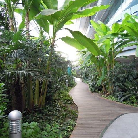 Ospedale dell'Angelo