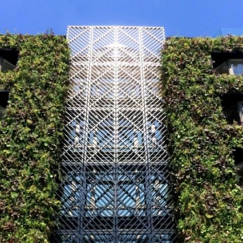 An office building with vegetation covering the outer wall