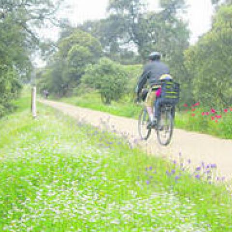 Metropolitan Green Corridor 1