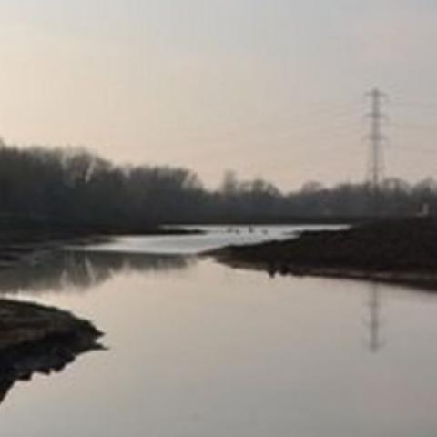 Fobney Island project 