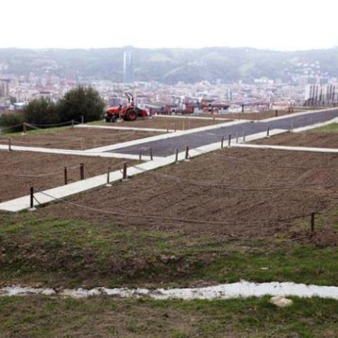 Urban Community Gardens of Rekalde
