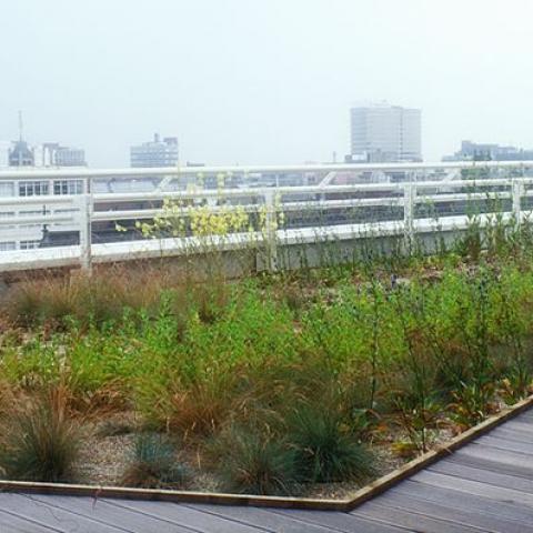 L.G.I. Rooftop Garden