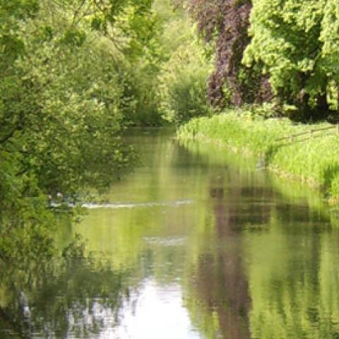 River Kennet 