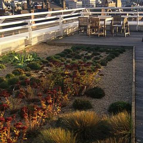 L.G.I. Rooftop Garden