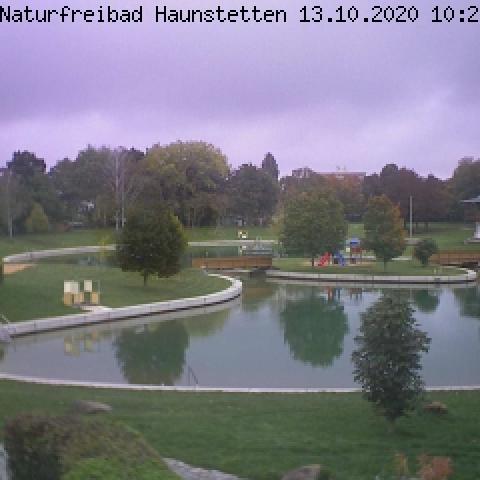 An outdoor pool surrounded by grass and trees