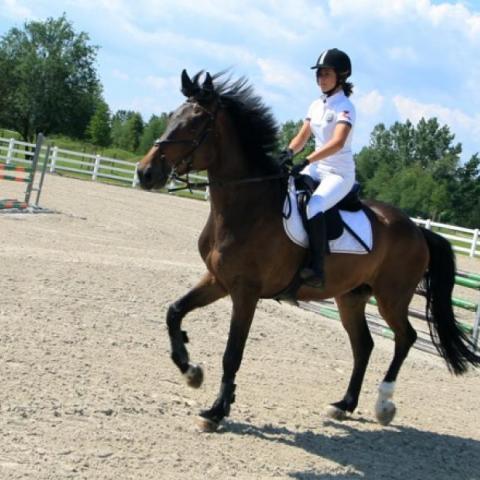 Sava RIC restoration