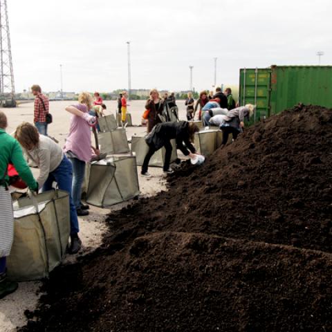 Experimental field of gardening bags
