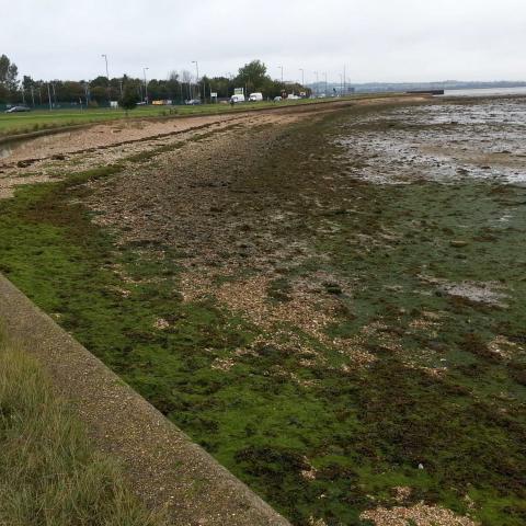 North Portsea Island - Milton Common