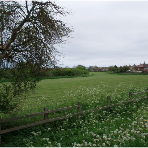 One of the areas under the Green Belt