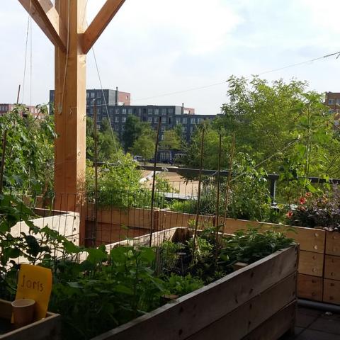 Rainproof School Playground