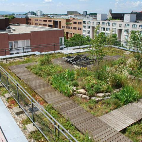 "NATURAL ROOF" GREEN ROOF