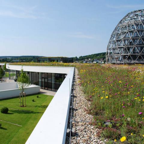 "NATURAL ROOF" GREEN ROOF