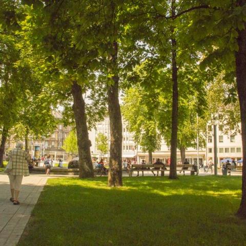 People walking along a path in a park with trees