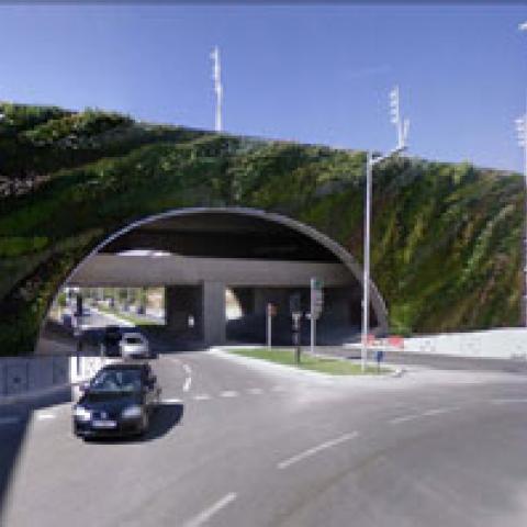 Vegetal wall at the Max Juvenal Bridge