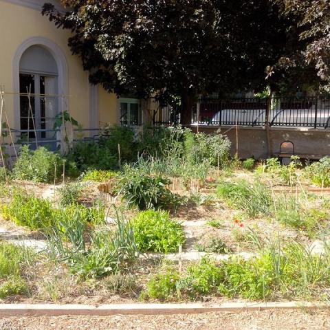Community garden at the railway