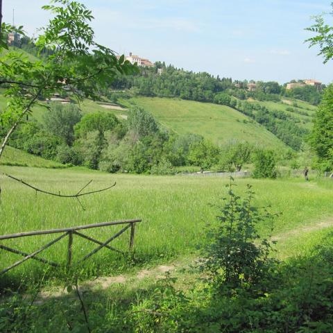 Fruit Garden in Villa Ghigi