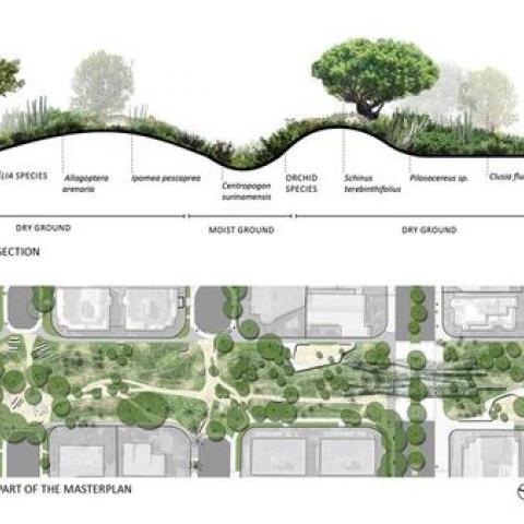 Landscape ecology of the city to identify the potential connectivity corridors and buffer zones [Ref.1]