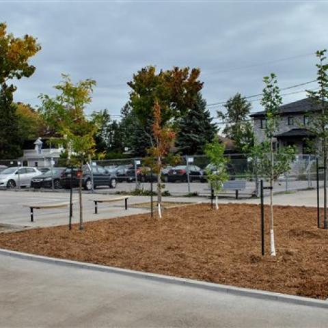 Demineralization and Greening of Laval 3 - Ecole Saint-Gilles