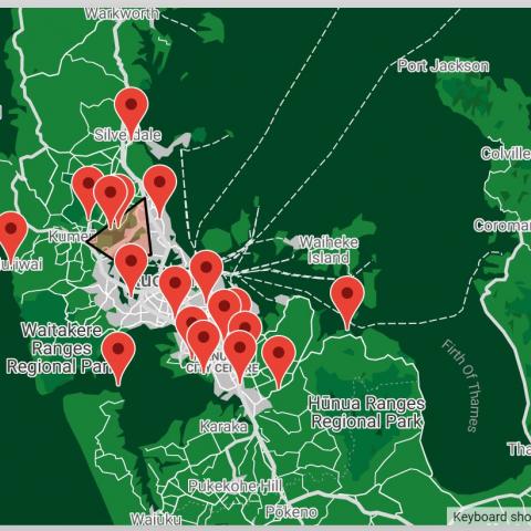 Trees that Count - Million Trees Plantings