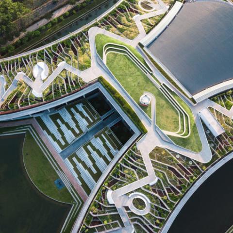 Thammasat University Urban Rooftop Farm