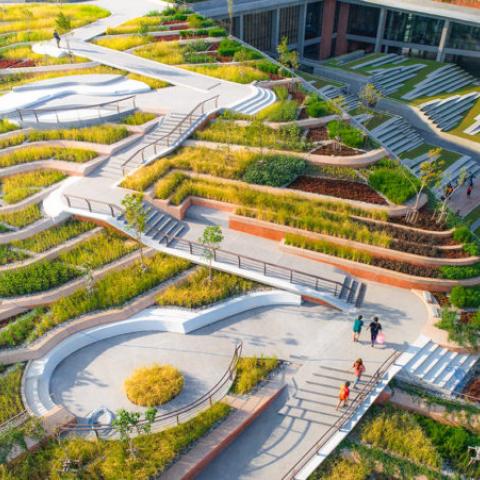 Thammasat University Urban Rooftop Farm