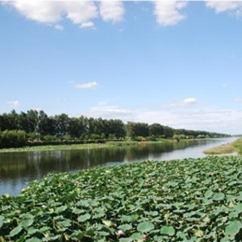 Wuqing district green and blue infrastructure