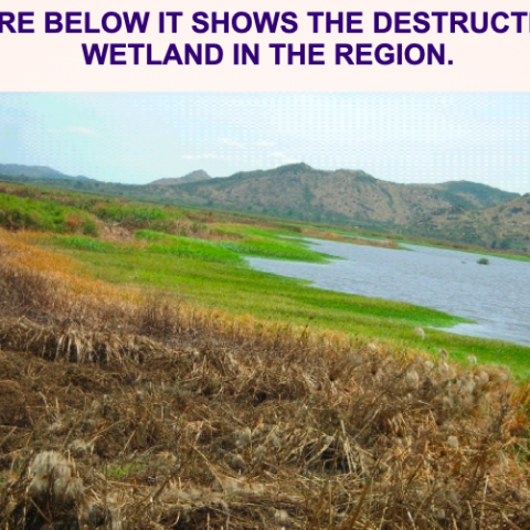 Wetland before intervention