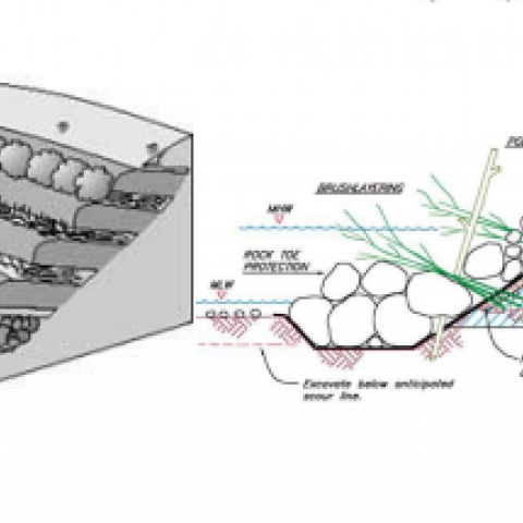 Bioengineering adaptation method