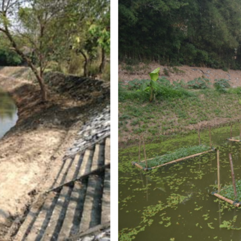 Restoration efforts of River Kok