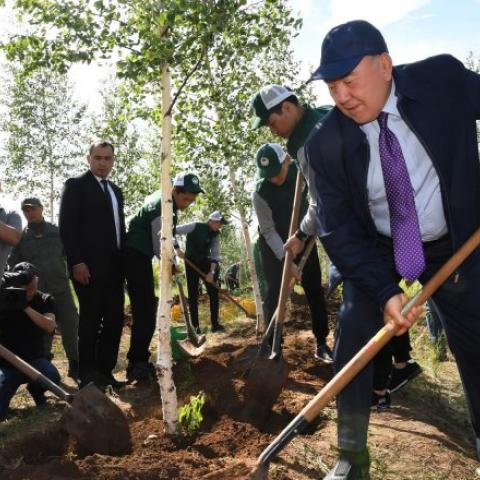 Planting trees with volunteers