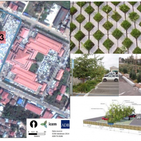 Proposed interventions for the market parking lot including examples of permeable paving, bio-swales and rain-gardens to increase infiltration and water purification