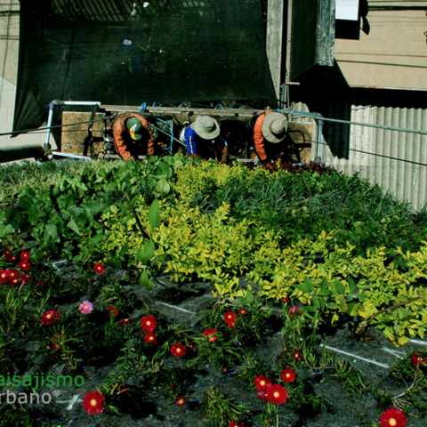 Installation of green facade on the FEDC Headquarters