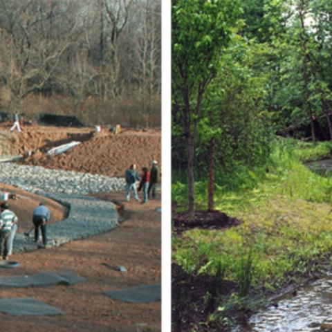 Left: Constructing a wetland; Right: Carefully planned landscaped zones remove pollutants while maintaining biodiversity