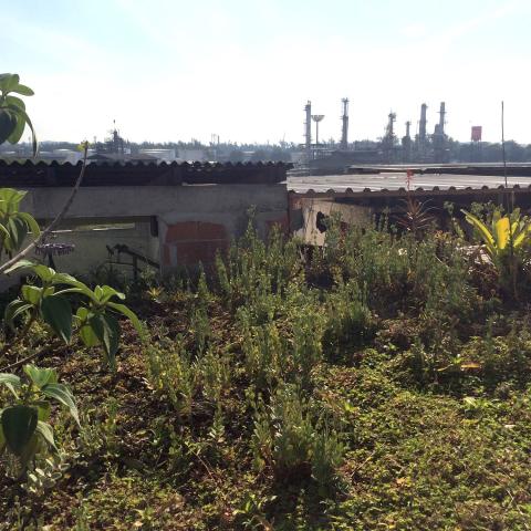 Rooftop Teto Verde Favela