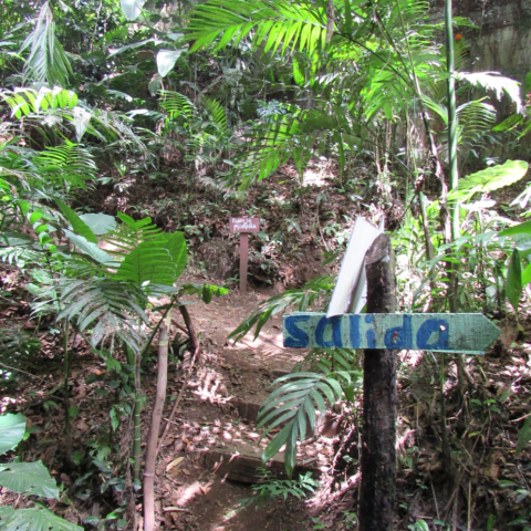 Signposting in Jungla Urbana