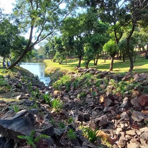 River margins, post NBS implementation